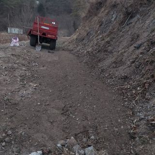 가로수님의 기타작물 · 영농일지 작성글 사진