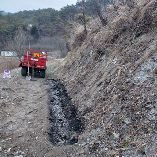 가로수님의 기타작물 · 영농일지 작성글 사진