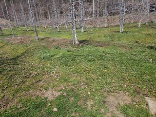 조균원님의 기타작물 · 영농일지 작성글 사진