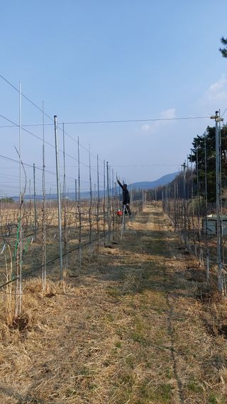 오동추님의 기타작물 · 영농일지 작성글 사진
