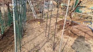 권혁렬님의 상추 · 영농일지 작성글 사진