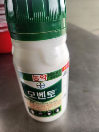 배종규님의 딸기 · 영농일지 작성글 사진