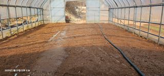 장용선 사진작가농부님의 기타작물 · 영농일지 작성글 사진