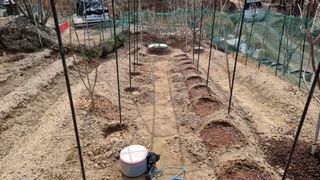 권혁렬님의 상추 · 영농일지 작성글 사진