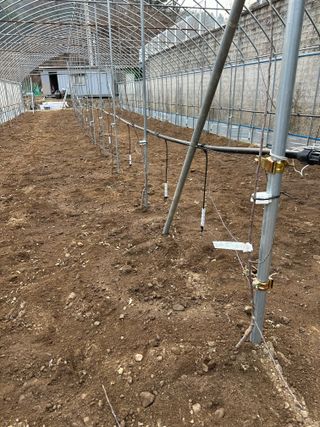 이익수님의 사과 · 영농일지 작성글 사진