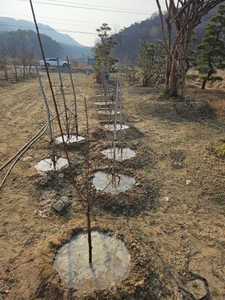 상추22033님의 기타작물 · 영농일지 작성글 사진