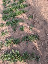 최한기님의 작성글 사진