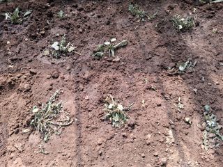 최한기님의 기타작물 · 영농일지 작성글 사진