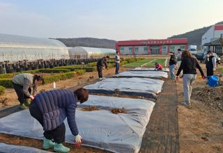 철남 김희곤님의 기타작물 · 영농일지 작성글 사진