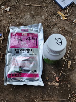 강동신님의 마늘 · 영농일지 작성글 사진