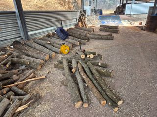 하야비치님의 버섯 · 영농일지 작성글 사진