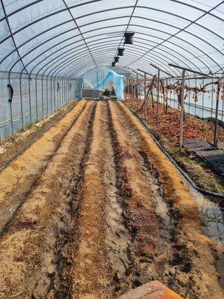 최기동님의 호박 · 영농일지 작성글 사진