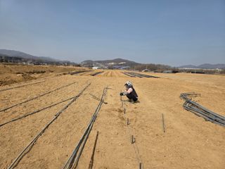 장은주님의 옥수수 · 영농일지 작성글 사진