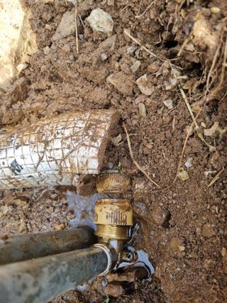 심기섭님의 기타작물 · 영농일지 작성글 사진