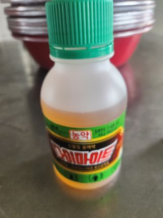 배종규님의 딸기 · 영농일지 작성글 사진