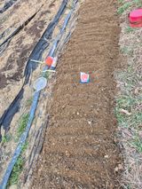 팜모닝 기타작물·영농일지 게시글 이미지