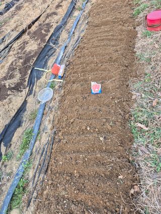 행복하게~님의 기타작물 · 영농일지 작성글 사진