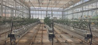 강연수님의 기타작물 · 영농일지 작성글 사진