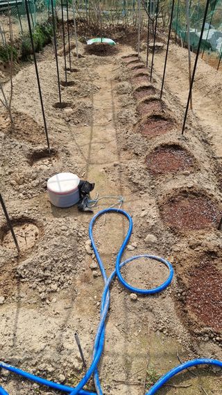 권혁렬님의 상추 · 영농일지 작성글 사진