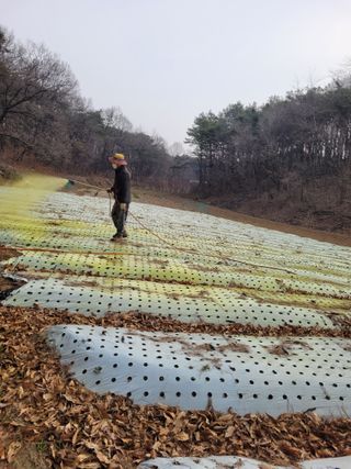 이름유순옥님의 기타작물 · 영농일지 작성글 사진
