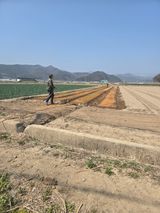 팜모닝 기타작물·영농일지 게시글 이미지