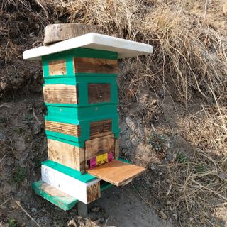 가로수님의 기타작물 · 영농일지 작성글 사진