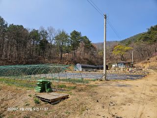 하여튼님의 기타작물 · 영농일지 작성글 사진