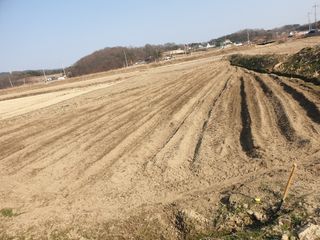 정연규님의 콩 · 영농일지 작성글 사진