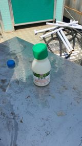 팜모닝 기타작물·영농일지 게시글 이미지