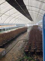 팜모닝 기타작물·영농일지 게시글 이미지