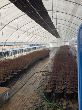 조민서님의 기타작물 · 영농일지 작성글 사진