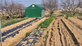 산수화풍님의 기타작물 · 영농일지 작성글 사진