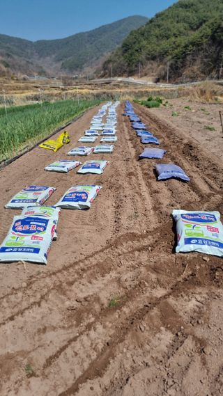 김동명님의 고추 · 영농일지 작성글 사진