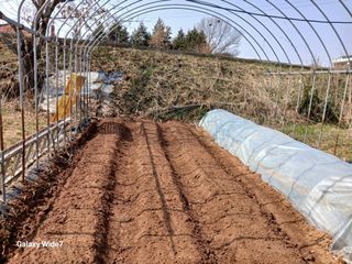 바위돌 심재성님의 기타작물 · 영농일지 작성글 사진
