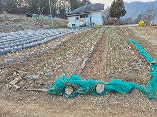 강윤석님의 기타작물 · 영농일지 작성글 사진