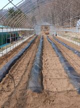 팜모닝 기타작물·영농일지 게시글 이미지