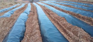 정연섭님의 작성글 사진