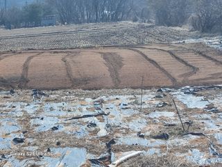 이천산수유3대농부님의 고추 · 영농일지 작성글 사진