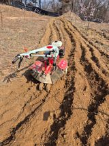 팜모닝 기타작물·영농일지 게시글 이미지