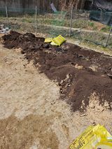 팜모닝 기타작물·영농일지 게시글 이미지