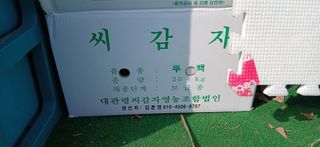 정연섭님의 상추 · 영농일지 작성글 사진