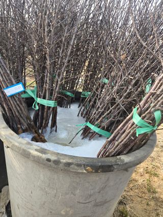 홍1237님의 사과 · 영농일지 작성글 사진