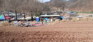 정연섭님의 상추 · 영농일지 작성글 사진