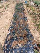 엄기덕님의 작성글 사진