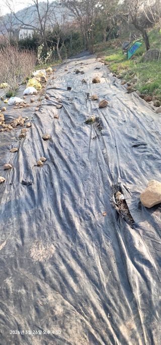 박종화님의 기타작물 · 영농일지 작성글 사진