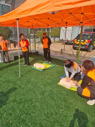 양배추21524님의 기타작물 · 영농일지 작성글 사진