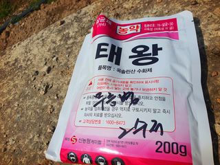 오이8898황산면님의 마늘 · 영농일지 작성글 사진