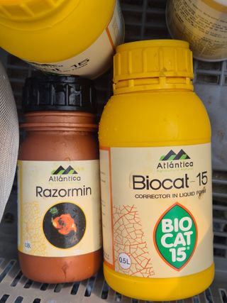 조성민님의 상추 · 영농일지 작성글 사진