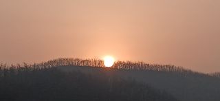 정연섭님의 상추 · 영농일지 작성글 사진