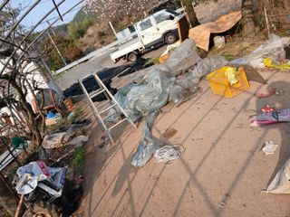 최훈님의 기타작물 · 영농일지 작성글 사진